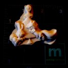 Christmas in Woods - Animals Silicone Mold Candy Crafts Cookies