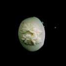 Fairy - Silicone Mold- Cake Candy Cookies Fondant Crafts