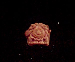Lion- Silicone Mold- Cake Candy Cookies Fondant Crafts