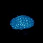 Peacock Bird- Cake Candy Cookies Crafts-  Silicone Mold