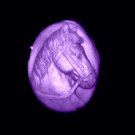 Horse-  Cake Candy Cookies Crafts-  Silicone Mold