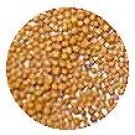 mustard seed yellow 24 oz  jars $5.95
