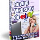 Buying Websites on eBay