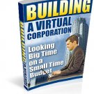 Building a Virtual Corporation