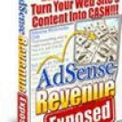 Adsense Revenue Exposed