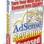 Adsense Revenue Exposed