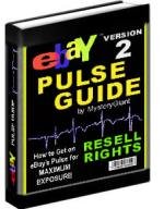 Bay Pulse Guide Version 2