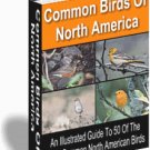 Common Birds of North America