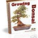 Growing Bonsai Trees