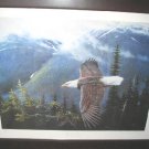 Ronnie Wells Silent Wings Eagle Poster Art Print Signed 89/500 Limited Edition Ronnie Wells Silent Wings Eagle Poster Art Print Signed 89/500 Limited Edition