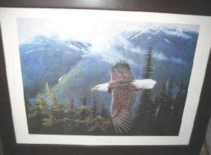 Ronnie Wells Silent Wings Eagle Poster Art Print Signed 89/500 Limited Edition