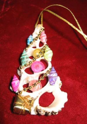 Unique Seashells Christmas Tree Ornament