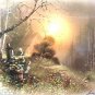 Vintage Framed Andres Orpinas Signed Print Forest