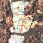 New York NYC Map Manhattan Sculpture Abstract Art Mixed Media Nyugen E. Smith