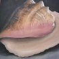 Original Water Painting on Canvas Unframed Plant Shell 28x32