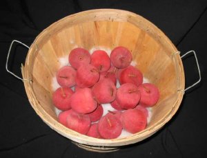 27 Scented Apple Bathroom Decor Home Fragrance Aroma