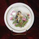 Jason Works Nanrich Pottery Fine Bone China Plate Bird Staffrdshire England