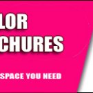 500 Brochures (8.5x11 | folded)
