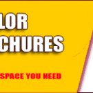 20,000 Brochures (8.5x11 | folded