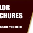 750 Brochures (11x17 | folded)