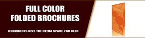 1,000 Brochures (11x17 | folded)