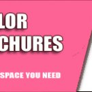 15,000 Brochures (11x17 | folded)