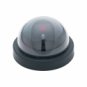 Fake Security Camera