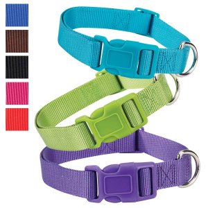 Parrot Green Fashion Nylon Adjustable Dog Collar 10"-16" Neck