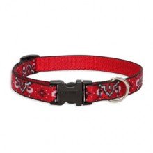 Wild West Lupine Adjustable Dog Collar9-13