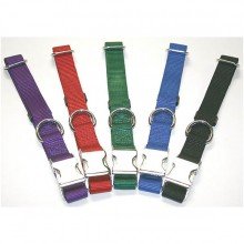 ALLMETAL Kwik Klip Dog Collars green