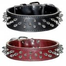 Protector Full Spiked Latigo Dog Collar black