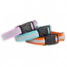 Zoeys Reflective Dog Collar organe