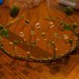 White and Silver Tiara