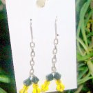 Steelers Crystallized Earrings