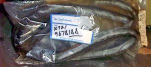 Impala Toronado Catalina LeSabre Electra Cadillac R/Side Spt.Cpe Roof Rail Weatherstrip GM 9678188