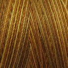 M81 B1 Backyard Honeycomb 35wt  500m  Valdani Variegated Thread q1