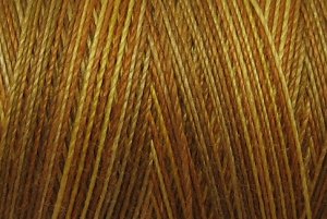 M81 B1 Backyard Honeycomb 35wt  500m  Valdani Variegated Thread q1