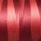 H204 Nostalgic Rose from the Heirloom Collection 35wt 500m Valdani Overdyed Thread  q1
