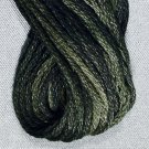 O540 - Black Olive six strand cotton floss 0540 Valdani == q3