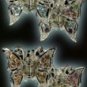 Farfalla - Butterfly Hair Clips with Acrylic Stone Inlay Design - 1 Package of 12
