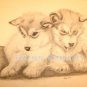 Husky Pups, Charcoal Drawing, Original Drawing