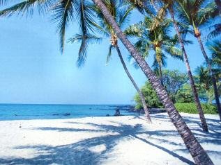 Hawaii, Big Island, Ocean View Estates TERMS $250/Month