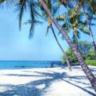 Hawaii, Big Island, Ocean View Estates TERMS $250/Month