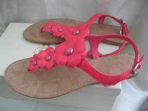 coach sandals with flower