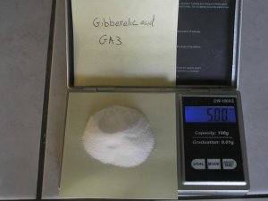 Gibberellic acid GA3 90% 10 GRAMS