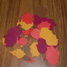 Autumn Leaf  Die Cuts - 40 pcs