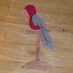 3" Macaw (Parrot)  Die Cut
