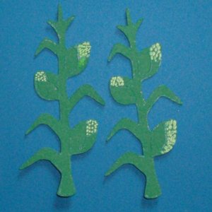 3" Corn Stalks