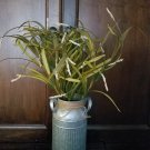 Rustic Farmhouse Galvanized Milk Can With Handles with cream berry and grass bush