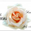 Wedding Wrapper We011